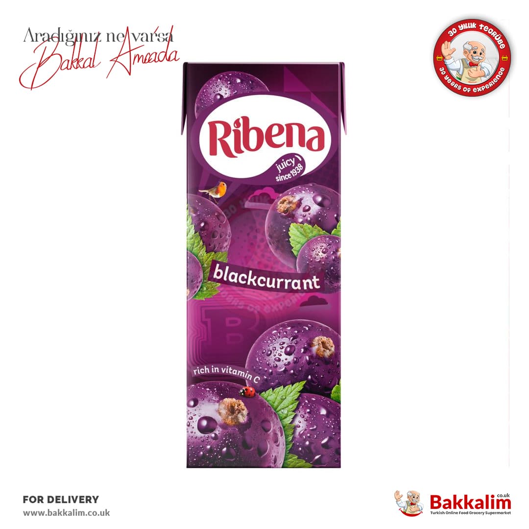 Ribena Blackcurrant Juice Drink 250 ml